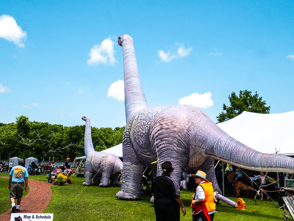 Giant inflatable dinosaurs at the Kids' Zone section of the Black Bear Festival.
