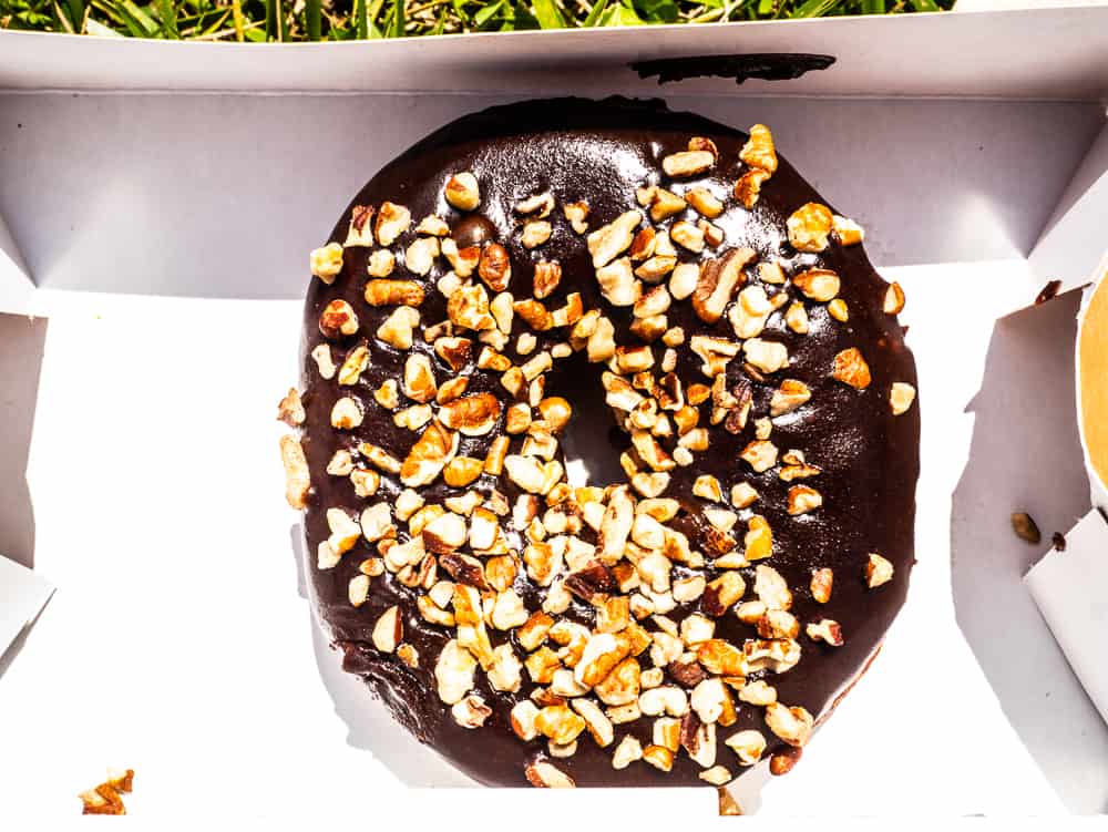 Single donut covered in chocolate with pecans on top. 