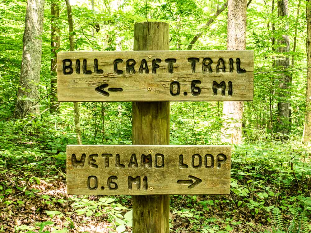 Two wooden trail signs noting intersection of Bill Craft Trail and Wetland Loop trail. 