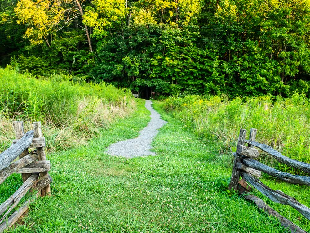 Green patch of mowed grass with wooden fence on either side and a small gravel trail leading into a forest.