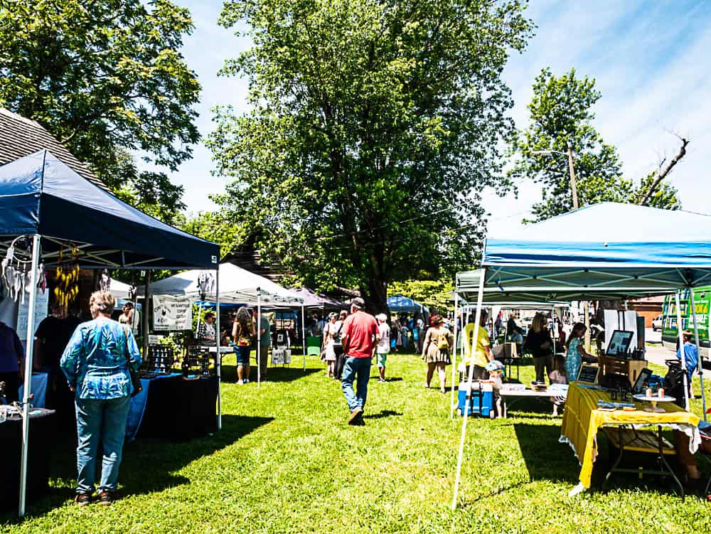 Several vendor tents set up in a grassy field with people wandering around and looking at things to buy.