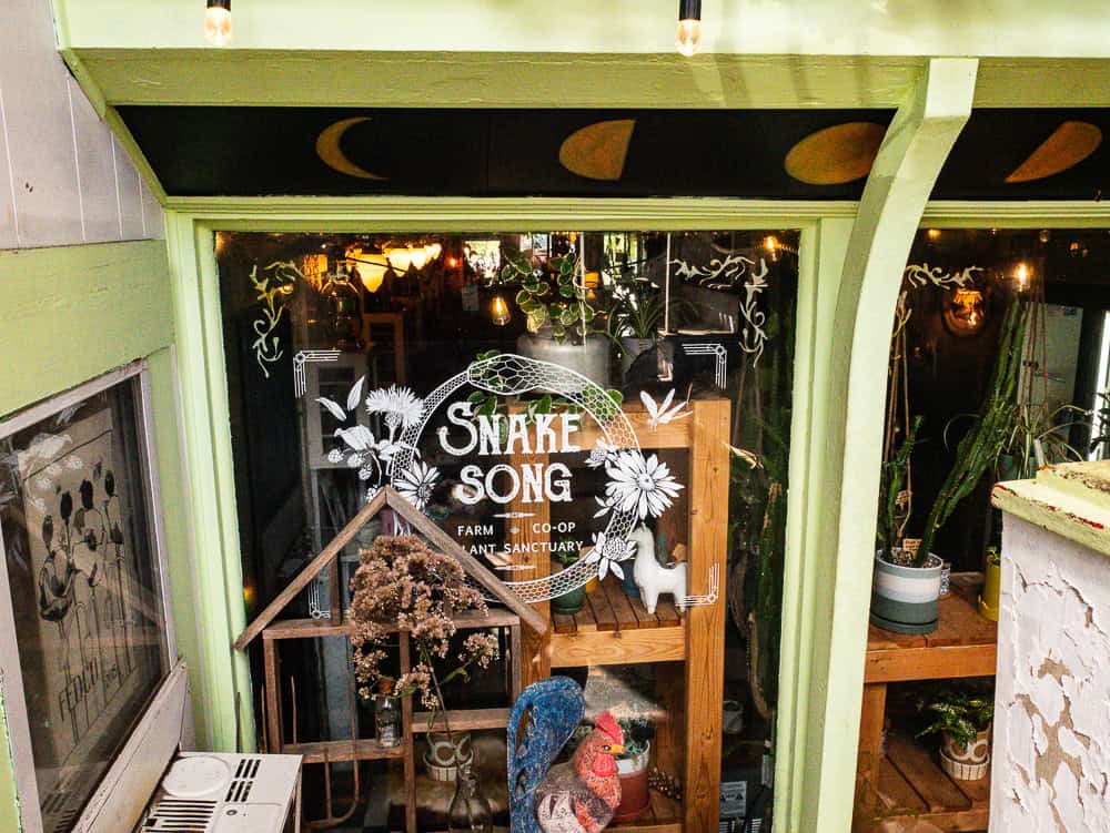 Large window with the trim around it painted light green. The window shows the plants inside the shop.  A snake in a circle biting its tail is on the window in white with Snake Song in the middle. 